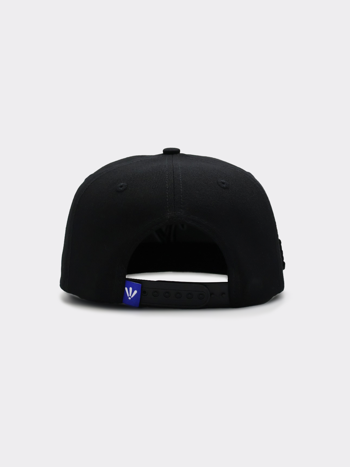 PROTECT YA HEAD SNAPBACK - BASALT BLACK